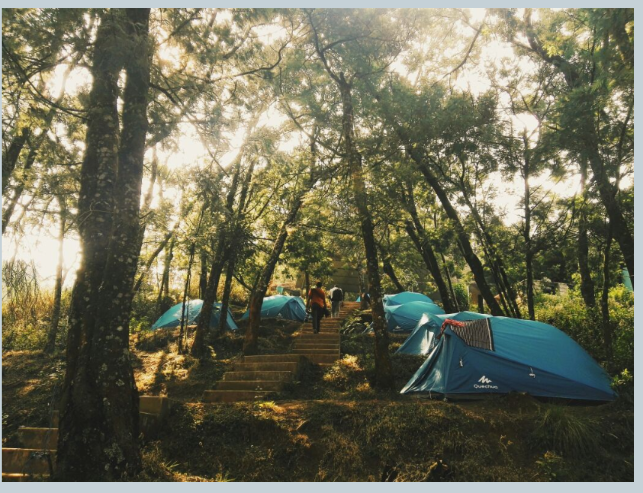 Camping